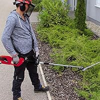 einhell pole hedge trimmer