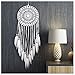 Ricdecor Dream Catcher Wall Hanging car Hanging Decoration Ornament Boho Dream Catchers for Home (White)