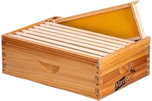 MAYBEE 8-Frame Beehive Box Langstroth Medium Super Bee Box for Sale Wax Coated Bee Hives Includes Wooden Frames & Waxed Foundations (Unassembled)