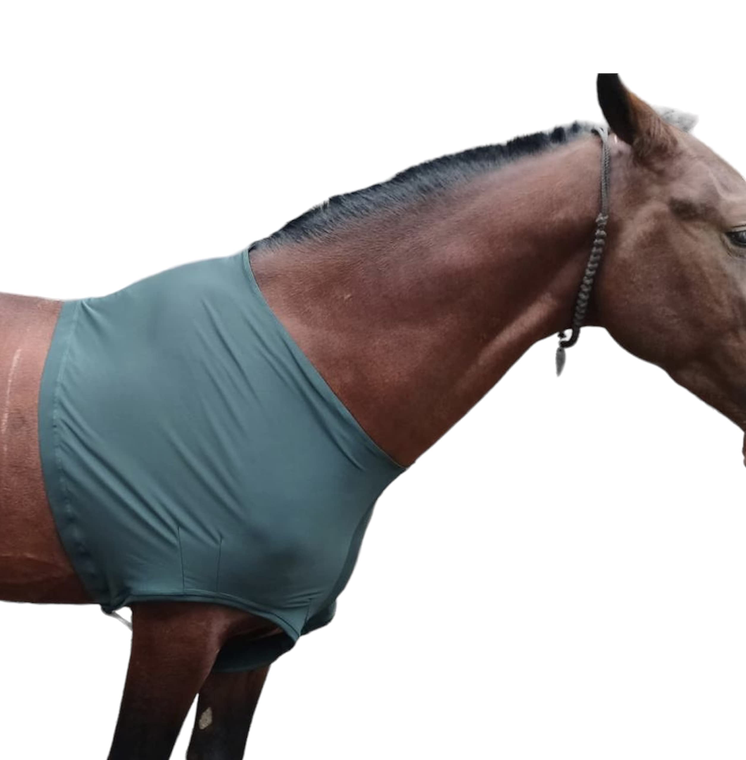 Majestic Ally Lycra Stretch Horse Shoulder Guard (Large, Hunter Green)