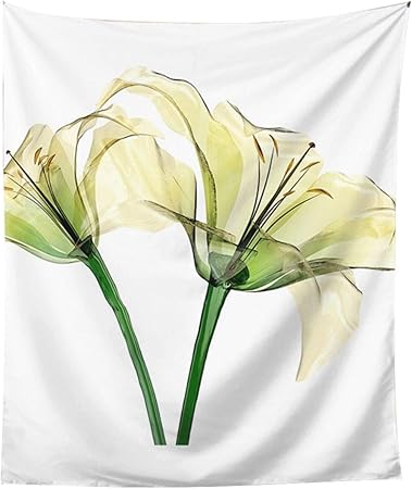 Amazon Co Jp Transparent Flower ユリ 花 絵 おしゃれ 大判 壁掛け モダンなアート 布ポスター 多機能 耐久性 インテリア 寝室 カーテン 部屋 タペストリーオールシーズン Generic