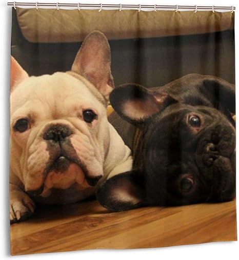 Amazon Co Jp かわいいフレンチブルドッググラフィックス印刷バスルームカーテン12フック付き防水ポリエステルシャワーカーテンセット生地プライバシーバスカーテン家の装飾機械洗える72x 72インチ 165x180 Cm Home Kitchen