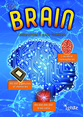 Your Brain: Understand It with Numbers (Your Body By Numbers)