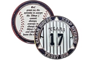 MYRECOVERYSTORE 17 Year AA Medallion Pinstripe Yearly Alcoholics Anonymous chip w/Coin Holder