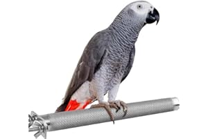 KATUMO Bird Perch - Stainless Steel - Rough Surface Stand for Small to Medium Parrots (9.8 x 1.0 inch)