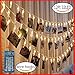 qnprt 32 LED Photo Hanging Clips String Light(12 Ft, Battery Powered, Warm White) Indoor/Outdoor String Wall Decoration Christmas Light for Hanging Photos Paintings Pictures Card and Memos