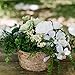 Silk Decor Plastic Rosemary Greenery Bush - 8