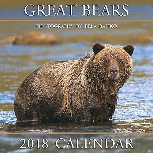 2018 Baliko Great Bears Wall Calendar