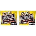 HERSHEY'S Miniatures Assorted Chocolate, Easter Candy Family Pack, 17.6 oz (Pack of 2)