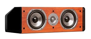 different brand center channel speaker