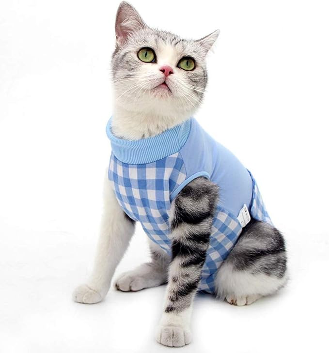 Cat Professional Surgical Recovery Suit for Abdominal Wounds Skin