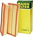 Mann Filter C 3698/3-2 Air Filter Element, (Set of 2) primary