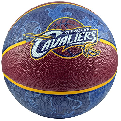 Portable Basketball System Reviews » Blog Archive » Best Review Of