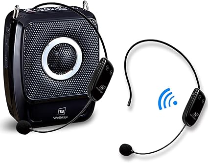 pa system with 2 microphones