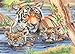 Reeves PPCR1 Tiger and Cubs Colored Pencil by Numbers, Large