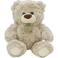 Gjlzfwbx Teddy Bear Plush Toy, 12inches Teddy Bear Stuffed Animal Birthday for Kids Girl Friends (Light Brown)