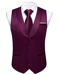 Barry.Wang Mens Dark Purple Vest Formal/Leisure