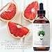 Laritelle Organic Hair Loss Prevention for Men and Women, Strengthening and Rejuvenating, Prevents Hair Shedding, Promotes Hair Growth, Rosemary, Ginger, Grapefruit, NO GMO, Vegan, 4 oz