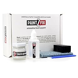 224004 Bianco Fuji Perl Touch Up Paint Kit for