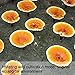 Dried Red Reishi Mushroom Slices Raw from Ta-pieh Mountains Ganoderma lucidum Loose Slices for Reishi Mushroom Tea 灵芝 (영지버섯) 8.8oz