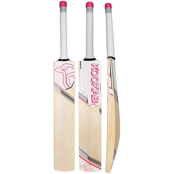 cricket equipment 2019