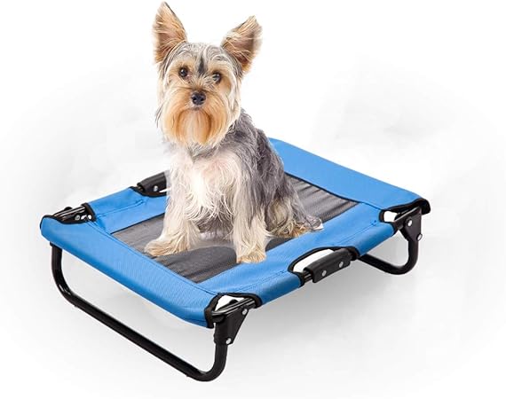amazon coolaroo dog bed