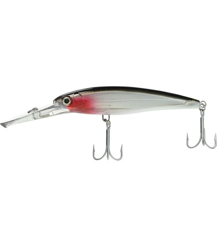 Rapala XRMAG40PM X-Rap Magnum 40,Purple, Multi, Topwater Lures