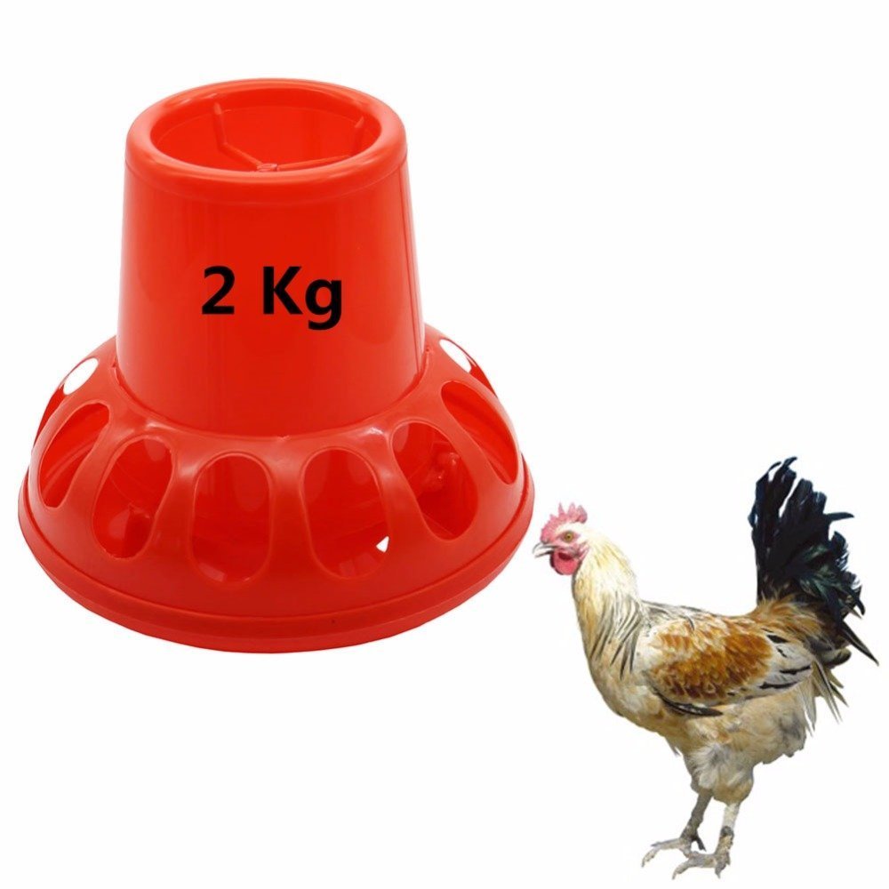 New 5 Pcs Feeding Tools 2kg Chicken Feeders Quail Feed Bucket