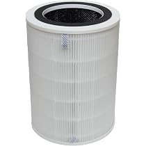 Filtre à Air Vhbw Pour Purificateur Proscenic A9Mor - HEPA H13, Charbon Actif, Silver Ion