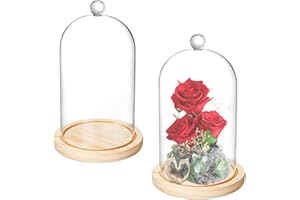 Lyellfe 2 Pack Cloche Glass Dome, 8'' x 5'' Dome Cloche with Rustic Wooden Base, Glass Cloche Bell Jar Display for Plants, Fa