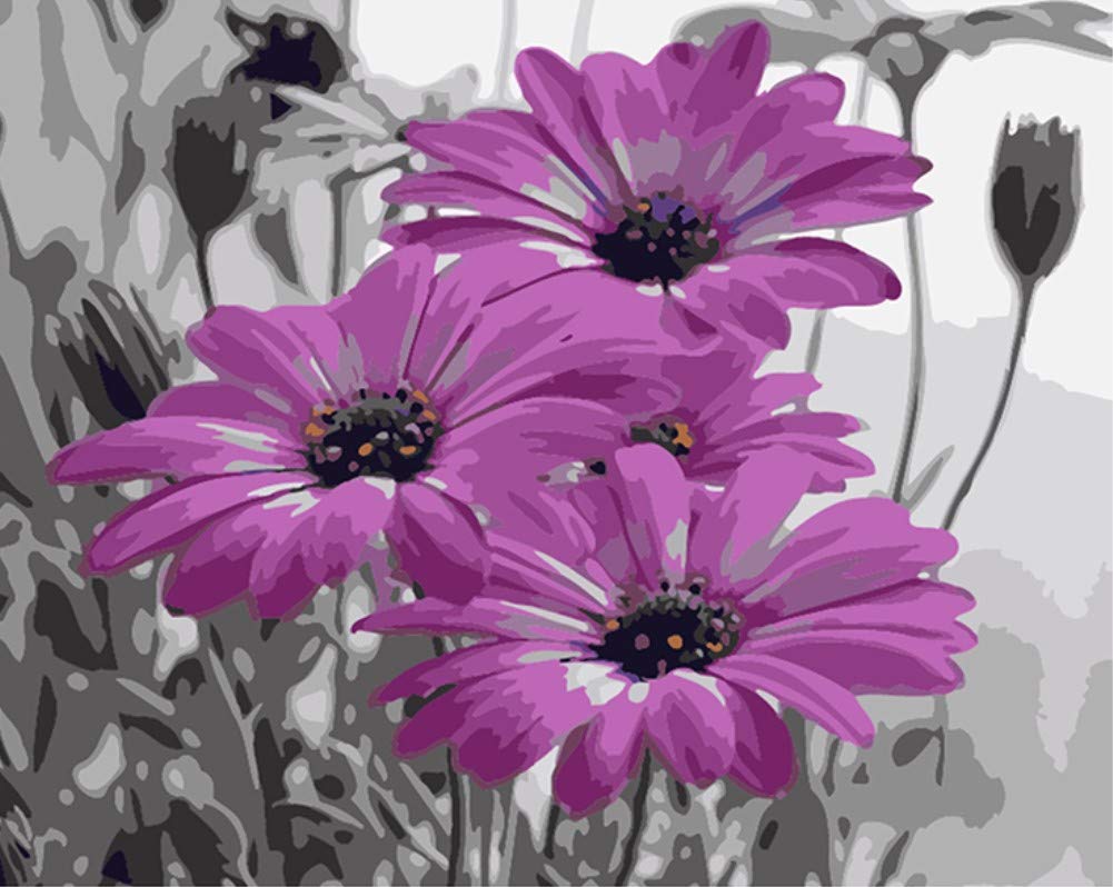 ABEUTY DIY Fabric Decorating Kits, Paint by Numbers Flowers 16x20 inches Number Painting Wall Art (Flowers, Wooden Framed)