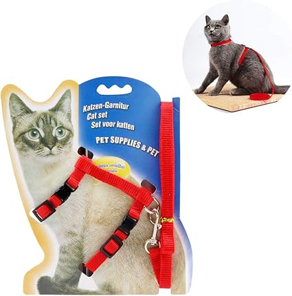 Icecode Harnais Pour Chat Et Chaton Avec Sangle En Nylon Reglable Rouge Amazon Fr Cuisine Maison