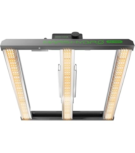 じろうページ 61lkPKdRwsL._AC_UF350,