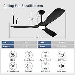 BvenuBigLite Black Ceiling Fan with Light: 3 Blades