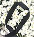 1 Inch Black Velvet Ribbon. Huge 25 Yards Roll.Single Face Spool by Drency Ribbons