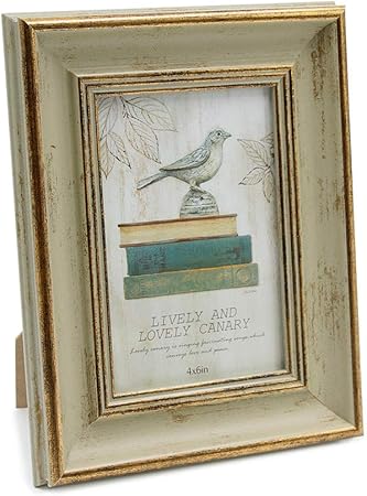 Amazon Afuly フォトフレーム Kg ハガキ 10x15cm 写真立て 縦型 立てかけ レトロ ヴィンテージ おしゃれ シンプル プレミアム プレゼント フォトフレーム 通販