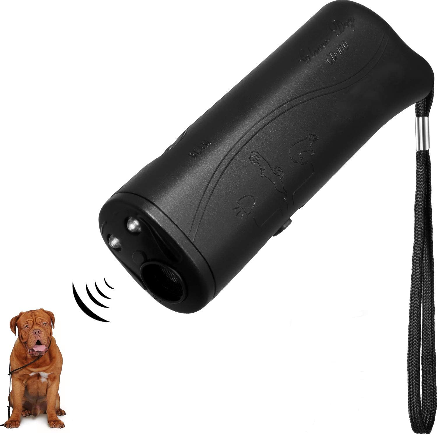 free dog adoption day 2019