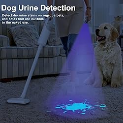 Acisa UV Blacklight Flashlight - 365nm and 395nm
