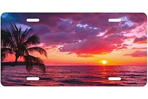 Puibun License Plates Beautiful Sunset Tropical Beach with Palm Tree Decorative License Plates,Vanity Tag,Metal Car Plate,Aluminum Novelty License Plate for Men/Women/Boy/Girls Car,6 X 12 Inc