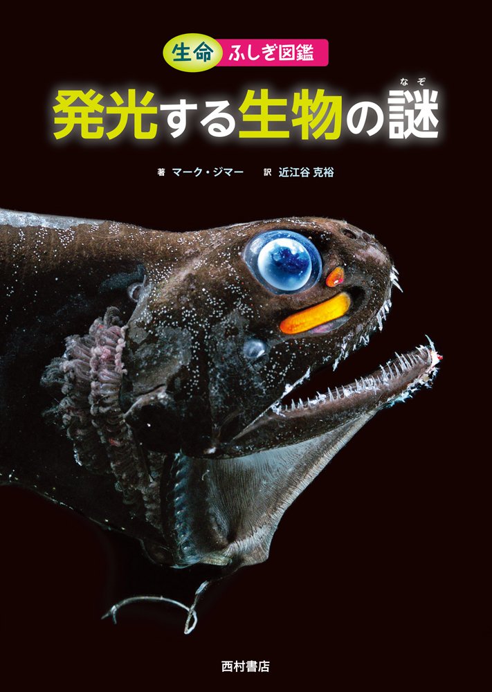 発光する生物の謎 生命ふしぎ図鑑 マーク ジマー 近江谷 克裕 本 通販 Amazon 発光する生物の謎 生命ふしぎ図鑑 マーク ジマー 近江谷 克裕 本 通販 Amazon