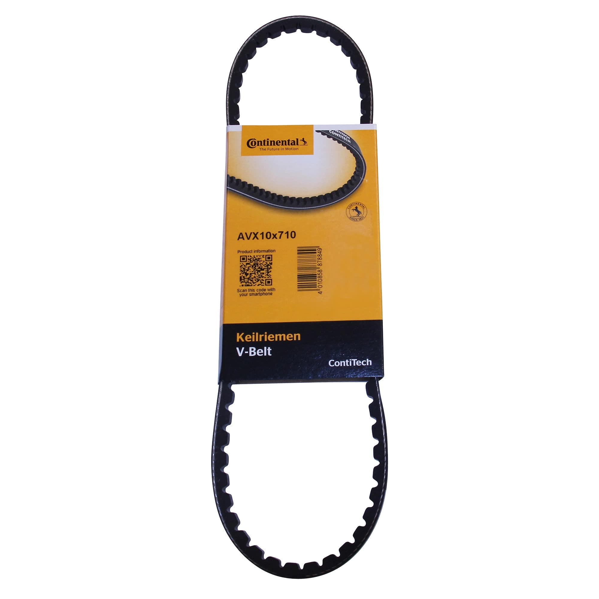 Continental Ctam AVX10X710 - V-Belt
