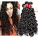 VIPbeauty Brazilian Virgin Hair 3 Bundles Of Water Wave 10A Grade Unprocessed Human hair Extensions Natural Color (10 12 14)