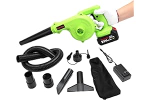 Cordless Leaf Blower, 2-in-1 Portable 21V Lithium Battery 110V Multifunctional Blower for Blowing Leaf, Clearing Dust & Small Trash,Car, Computer Host, Hard to Clean Corner by SHINTYOOL