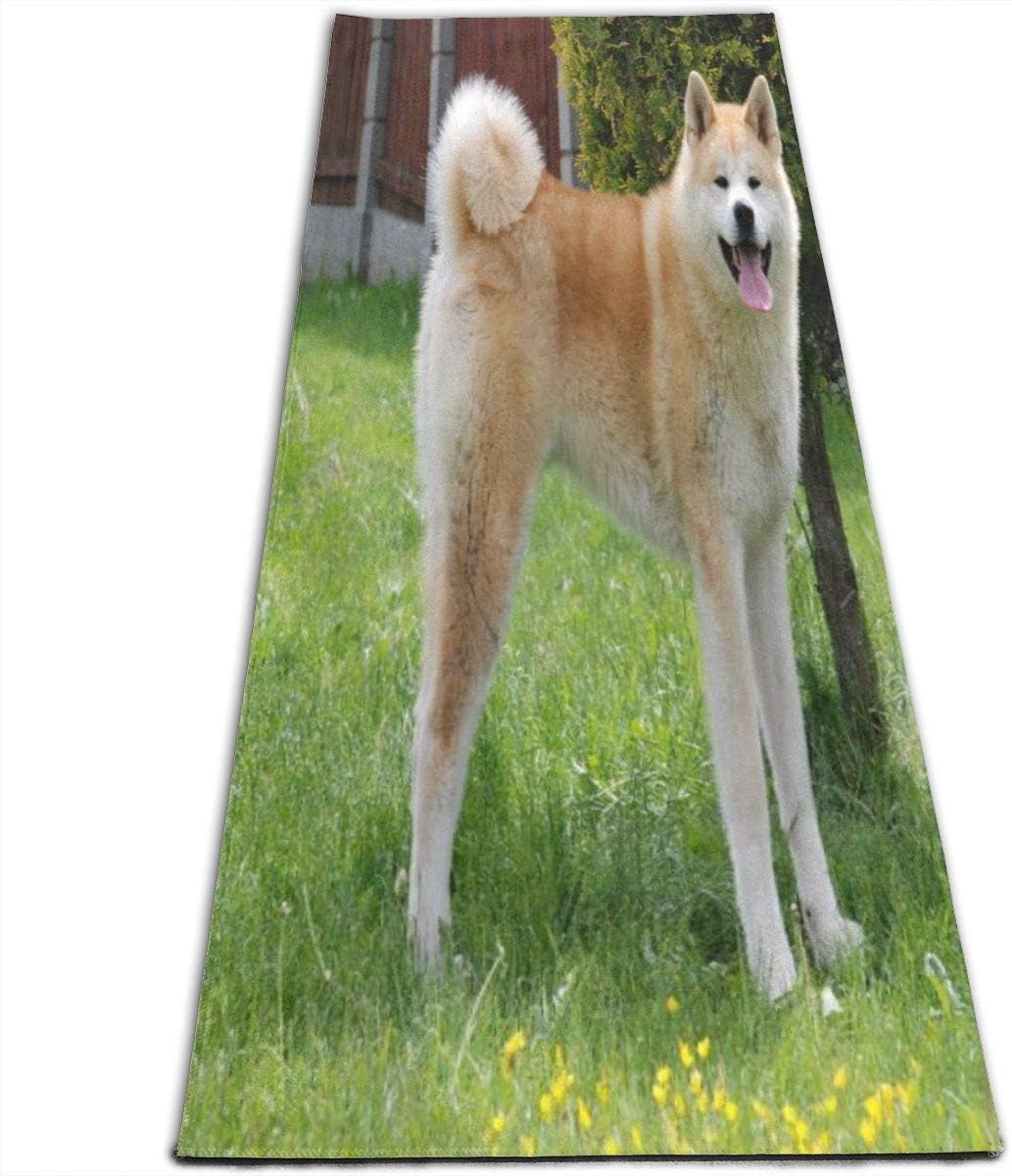 EJudge Yoga Mat Akita Dog Cute Trendy 1/4-Inch Thick Exercise Mats for Pilates, Fitness & Workout