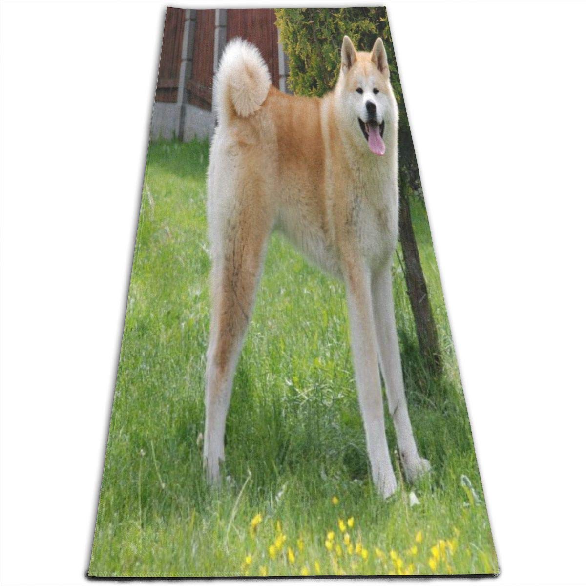EJudge Yoga Mat Akita Dog Cute Trendy 1/4-Inch Thick Exercise Mats for Pilates, Fitness & Workout