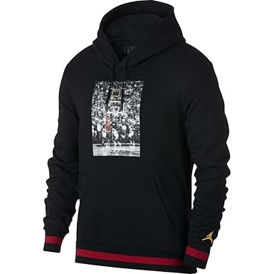 Nike Jordan Sportswear Shot Wings Lite Herren Hoody