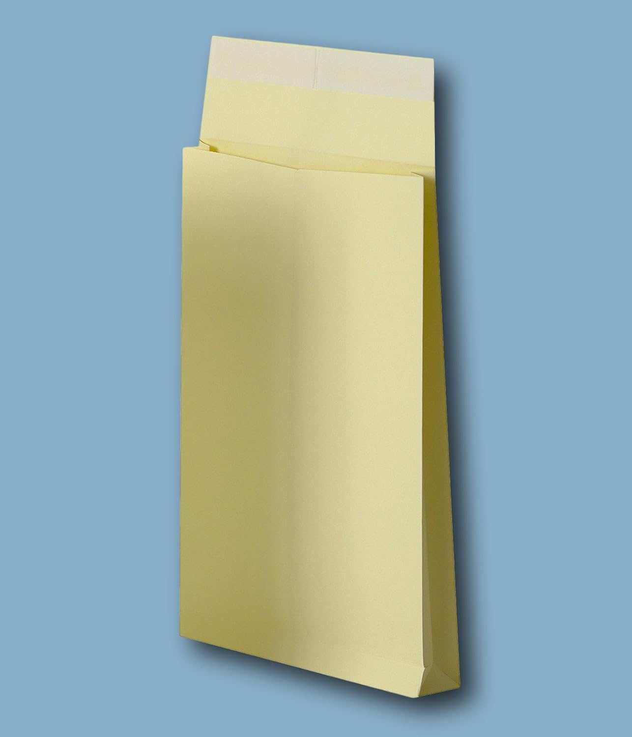Lot De 25 Enveloppes Kraft à Soufflet C4 229x324+30mm - Papier 120g/m², Fermeture Adhésive