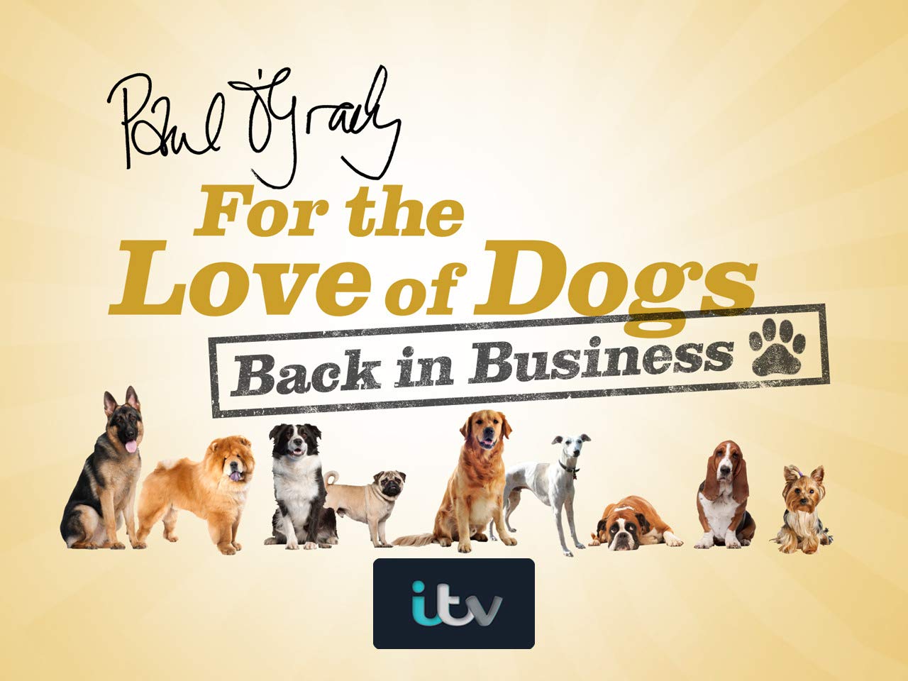 Watch Paul O'Grady - For the Love of Dogs | Prime Video