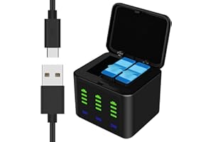 Dual Battery Charger + 2 Enduro Batteries Compatible for Go Pro Hero 12/11/10/9 Black, Triple Slot USB Charging Case with Typ