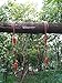 Tree Swings Hanging Straps / Outdoor Hammock Straps / Suspension kit, two Adjustable 70